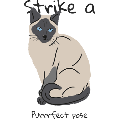 Strike a purrrfect pose