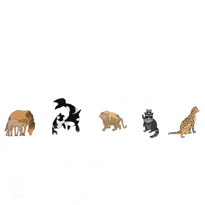 Animal sticker pack for moms and their daughters
