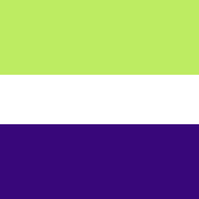Neopronoun Pride Basic Large Pride Flag