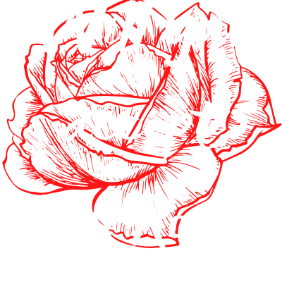 Will you accept this rose?