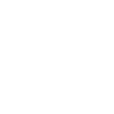 Team Lee Lifetime Member