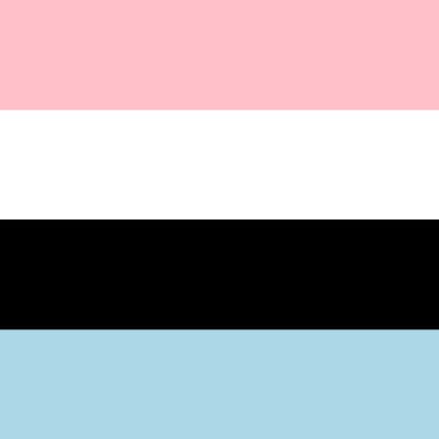 Transfluid Pride Basic Large Pride Flag