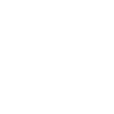 Team Lewis Lifetime Member