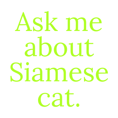 ask me about Siamese cat