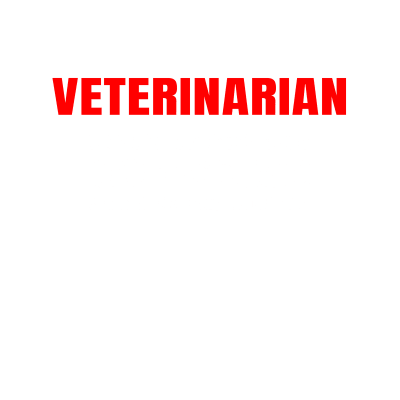 Vet Veterinarian Doing It For The Outcome Not The Income Veterinary Quote
