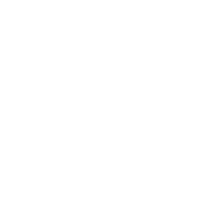 Lebron 316