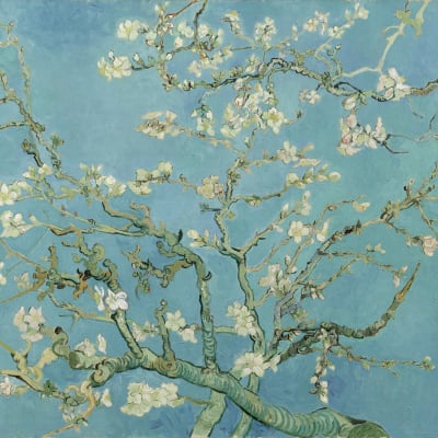 Vincent van Gogh. Almond blossom