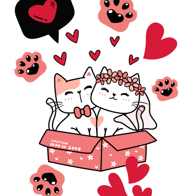 Cute Cats ❤️❤️Couple Soul Tied Pink Version.