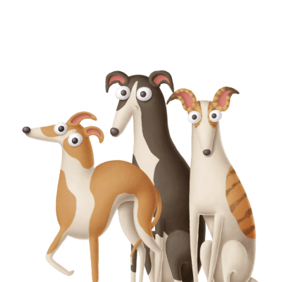 Adopt don&#39;t shop a Greyhound