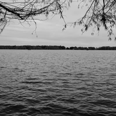 Lake Martin 4