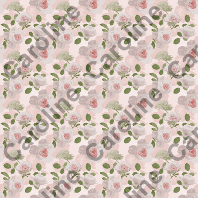 Pale Pink Roses with Dara on Light Pink Background