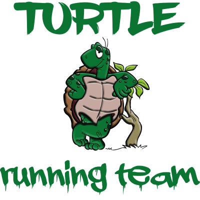 Turtle running team