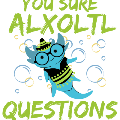 You sure axolotl questions