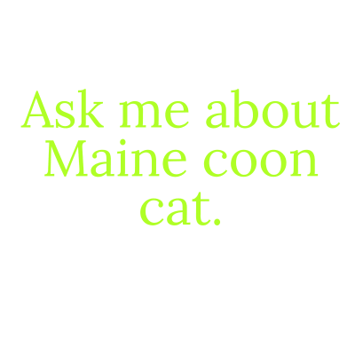ask me about Maine coon cat