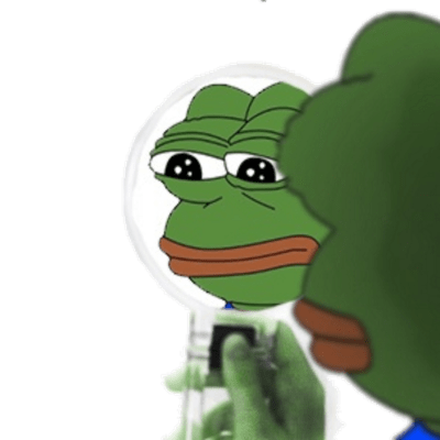Pepe The Frog Looking Himself In The Mirror, RARE Pepe The Frog, Special Pepe The Frog