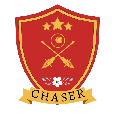Chaser (Real life sport)