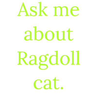 ask me about ragdoll cat