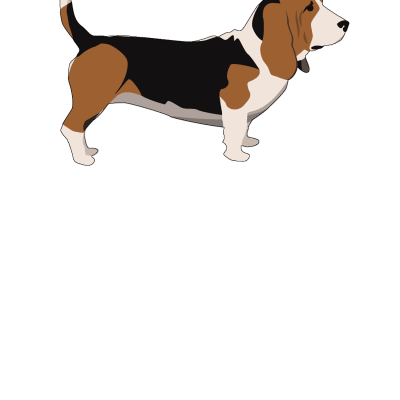 Nothing but basset hound dog