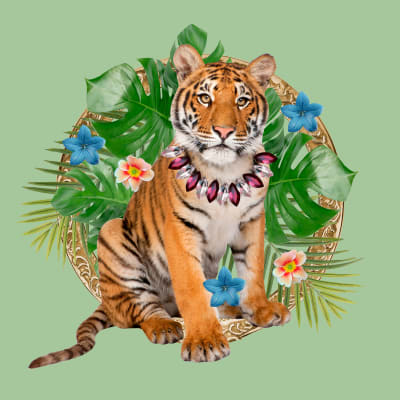 Baby Tiger with Flowers