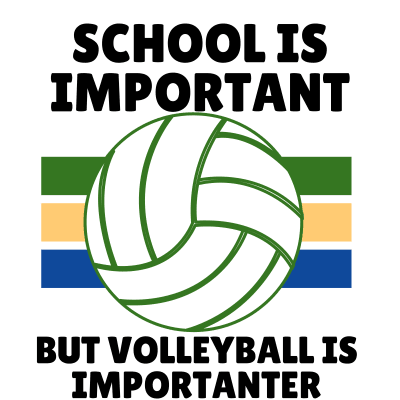 Volleyball is important funny sports