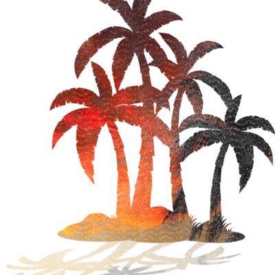 Beach Palm Trees Sunset