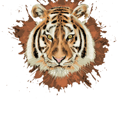 Bengal tiger scratch