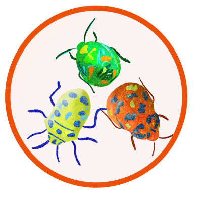 Beetle illustration, pattern, green, yellow, orange, pink, purple, blue