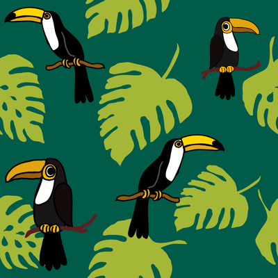 Tucans, tropical birds in tropical rainforest