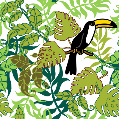 Tucans tropical birds in tropical rainforest