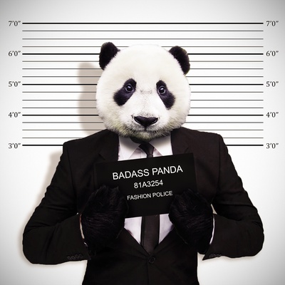 Funny Badass Panda