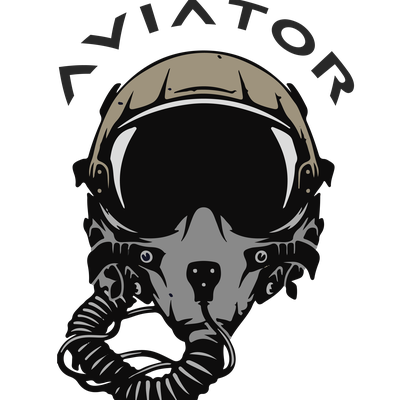 Fighter Pilot Helmet and Mask