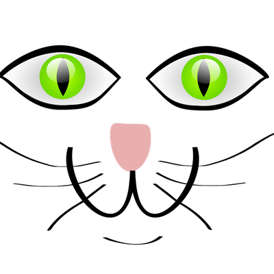 Cute cat Green eyes