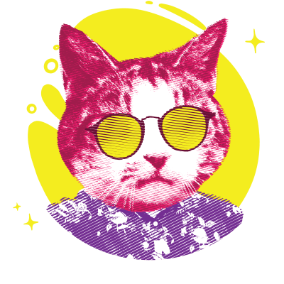 Cool Cat Sunglasses colorful cat