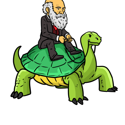 Darwin Riding Tortoise Galapagos Turtle Science