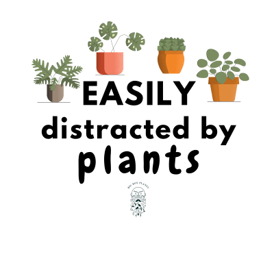 Easily distracted by Plants