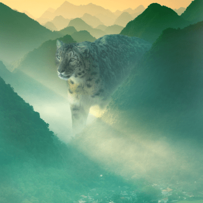 Leopard in the Mist // Bilcos Designs