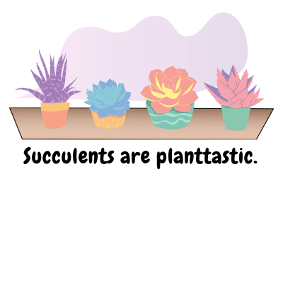 Succulents are planttastic