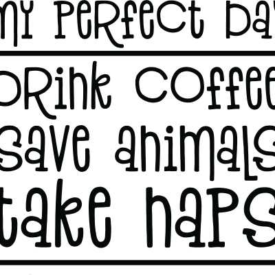 Coffee, Animals, Naps