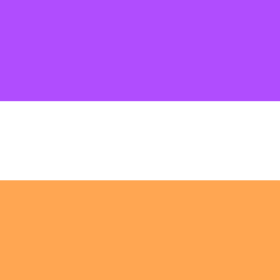 Absorpronominal Pride Basic Large Pride Flag