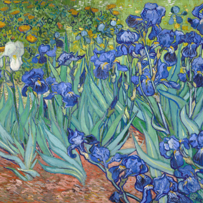 Vincent van Gogh. Irises